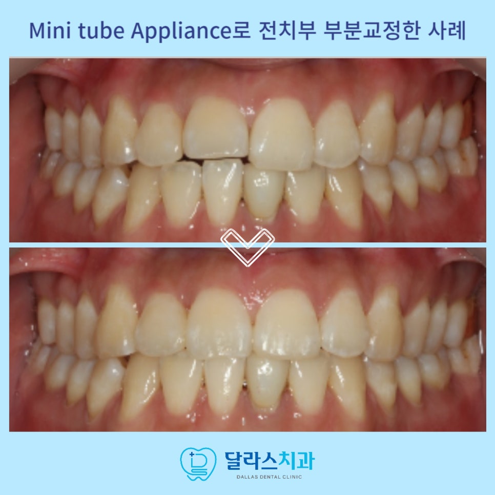 노원치과