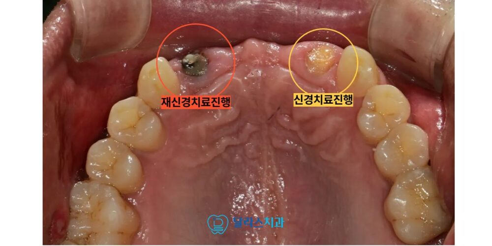 달라스치과