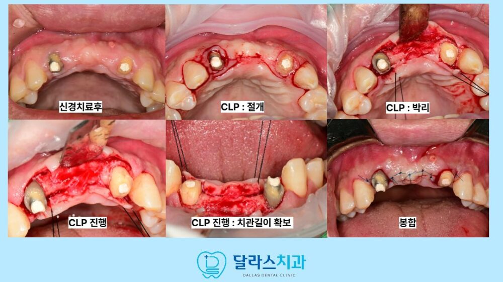 달라스치과