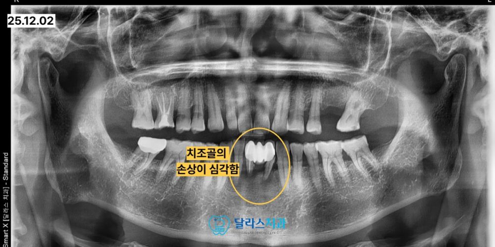 노원역치과