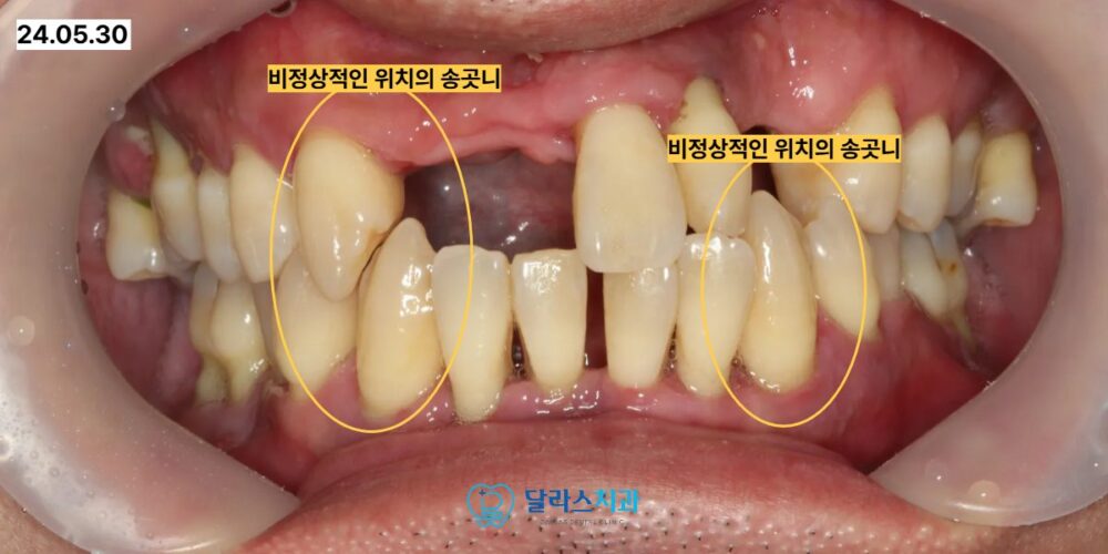 노원치과