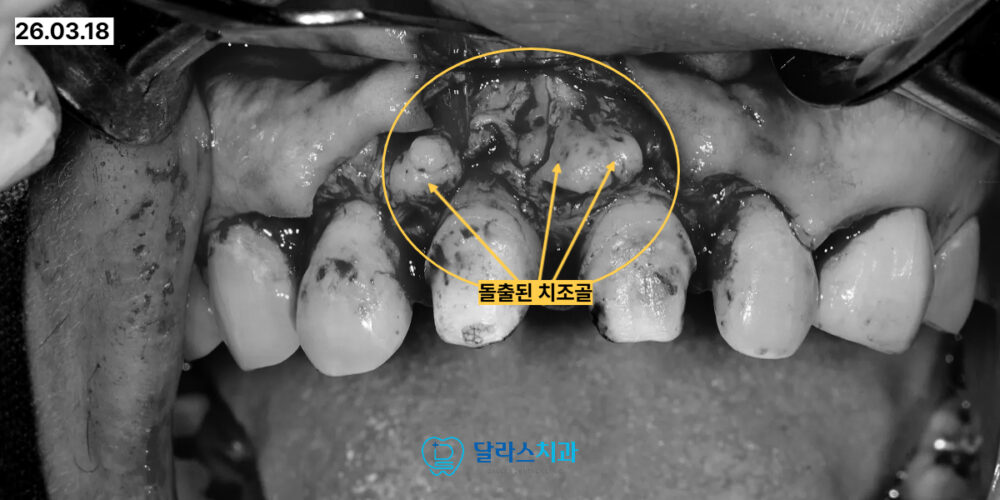 노원치과