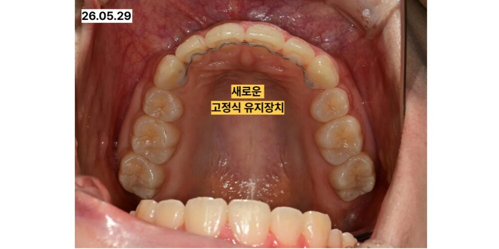 노원치과